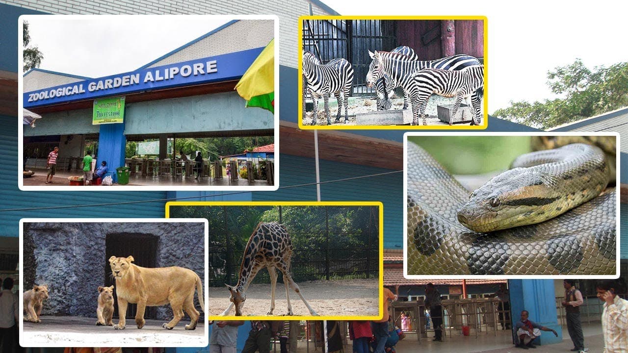 Alipore Zoological Garden