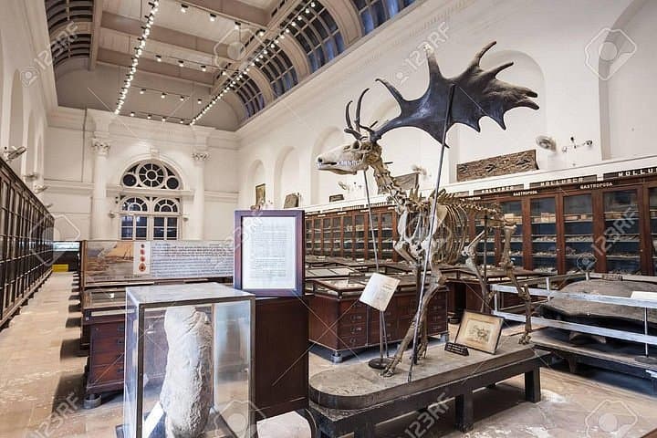 Indian Museum - Exhibits