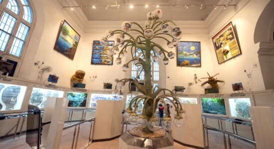 Indian Museum - Historical Artifacts