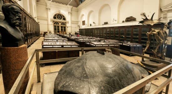 Indian Museum - Exhibits